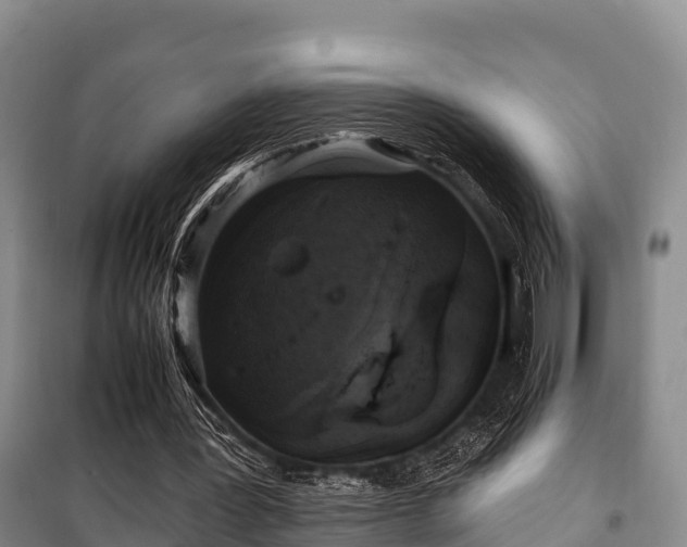 X0000100200387200806061327