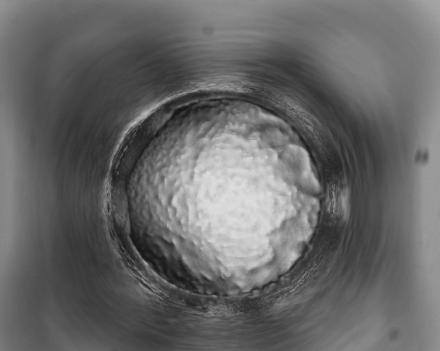 X0000100200388200806061327