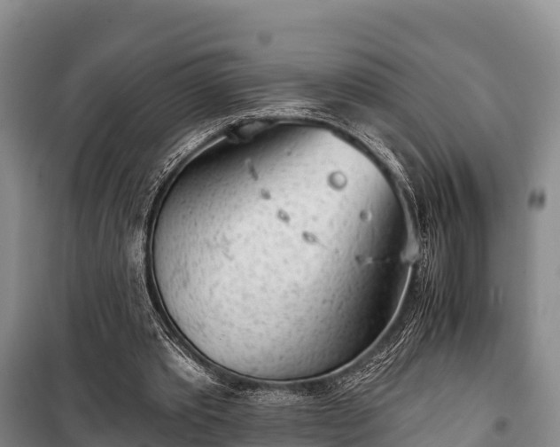 X0000100200389200806061327