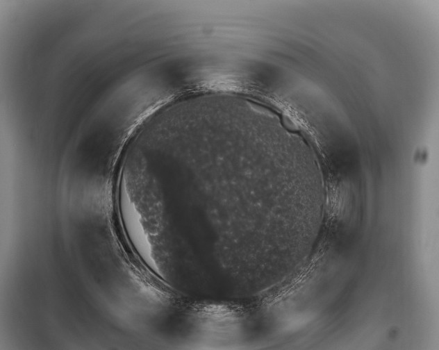 X0000100200390200806061327