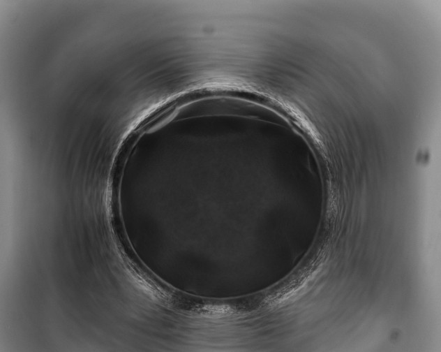 X0000100200391200806061327