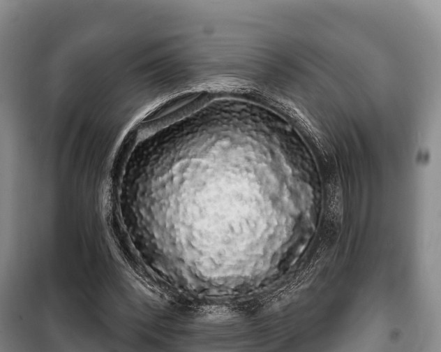 X0000100200392200806061327