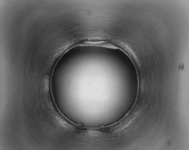 X0000100200393200806061327