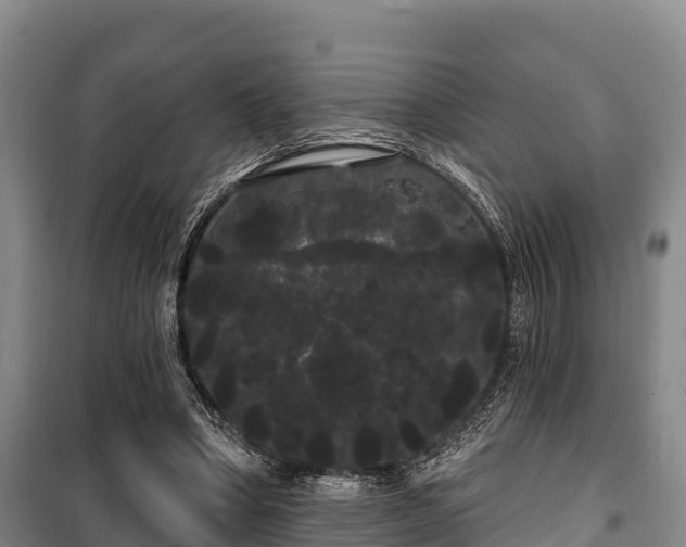 X0000100200394200806061327