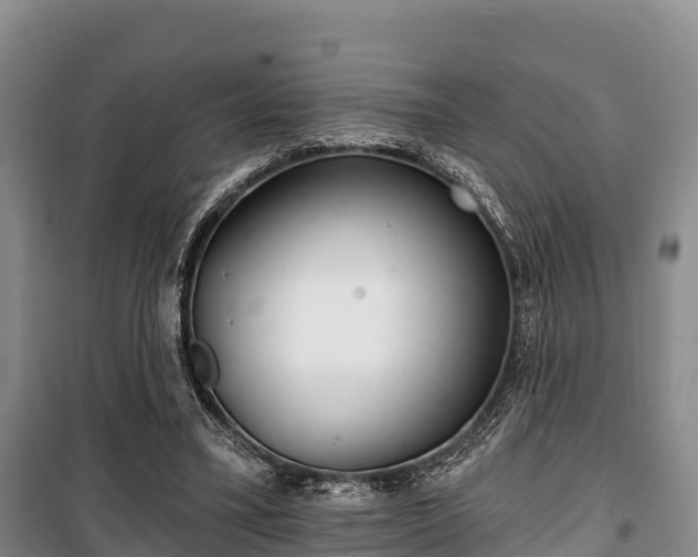 X0000100200395200806061327