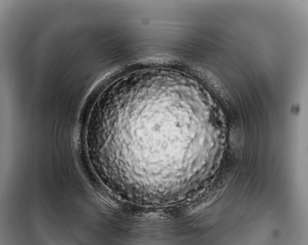 X0000100200396200806061327