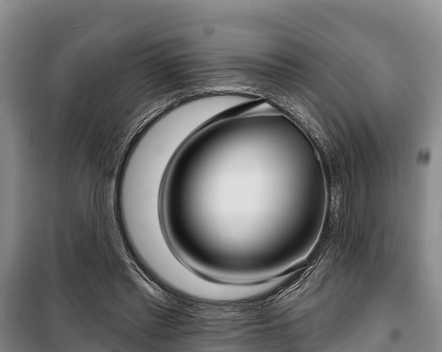 X0000100200397200806061327