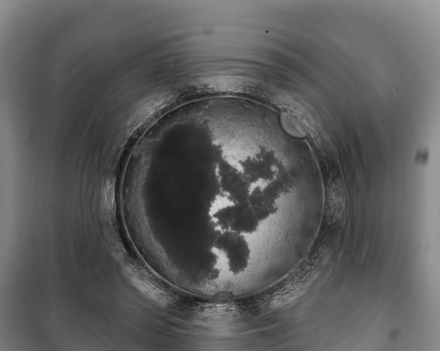 X0000100200398200806061327