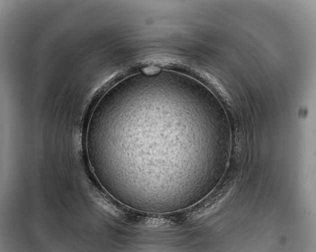 X0000100200399200806061327