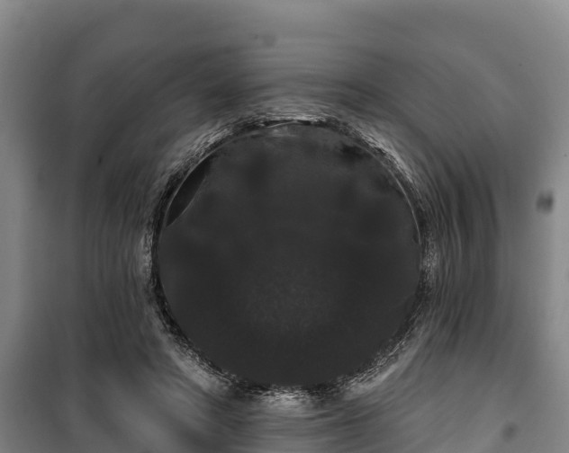 X0000100200402200806061327