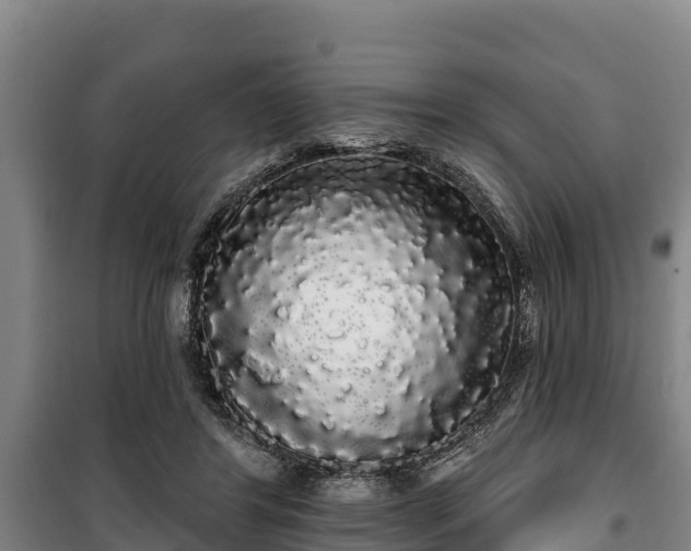 X0000100200404200806061327