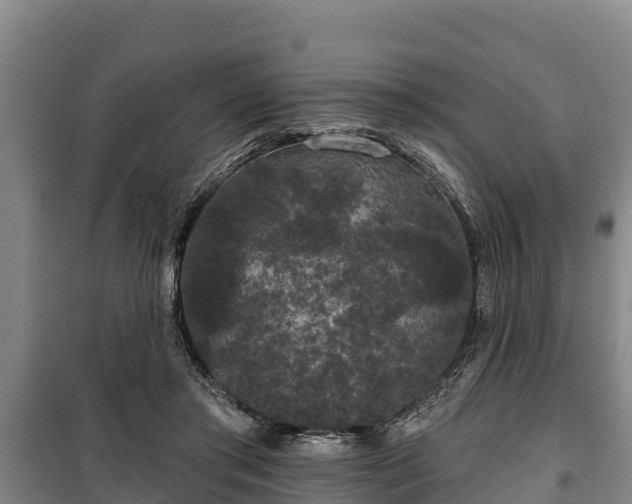 X0000100200405200806061327