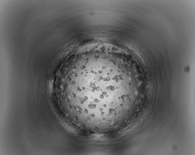 X0000100200406200806061327