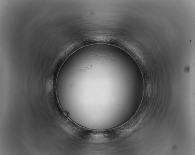 X0000100200407200806061327