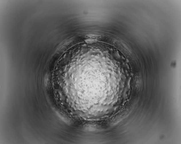 X0000100200408200806061327