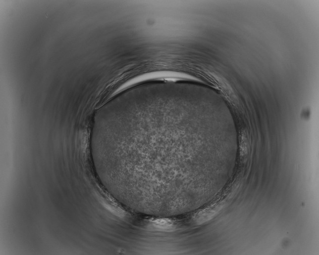 X0000100200409200806061327