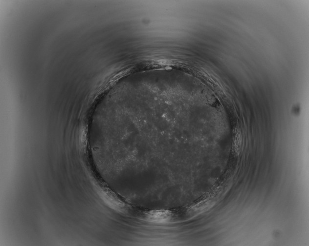 X0000100200410200806061327