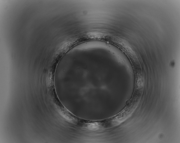 X0000100200411200806061327