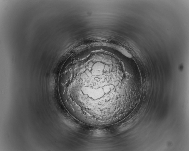 X0000100200412200806061327