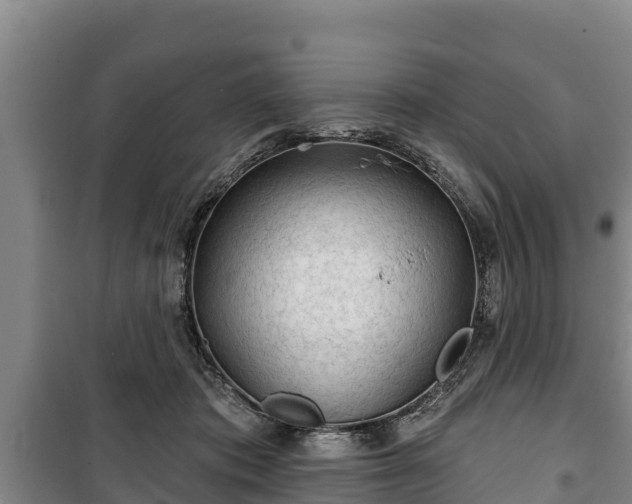 X0000100200413200806061327