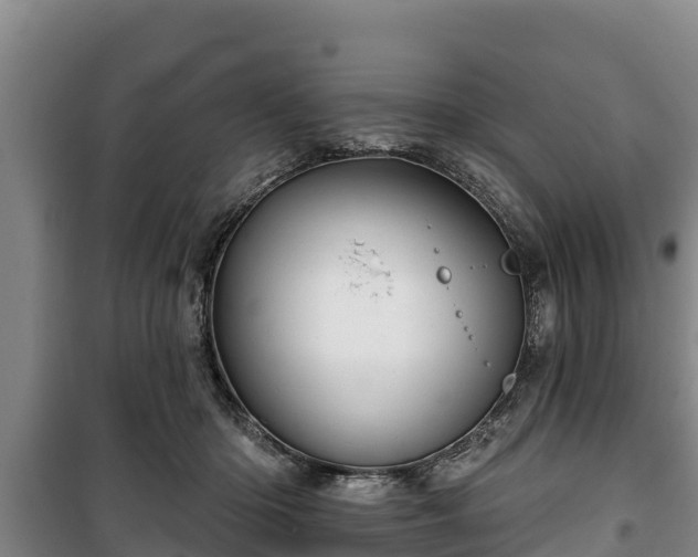 X0000100200414200806061327