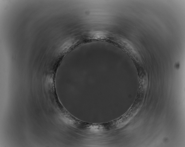 X0000100200415200806061327