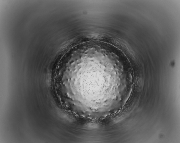 X0000100200416200806061327