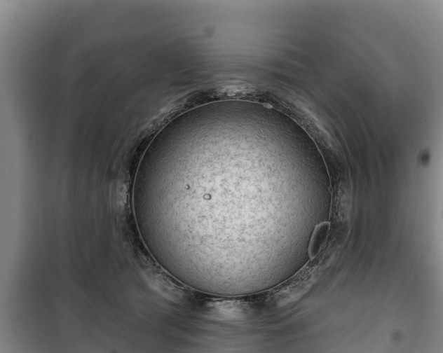 X0000100200417200806061327