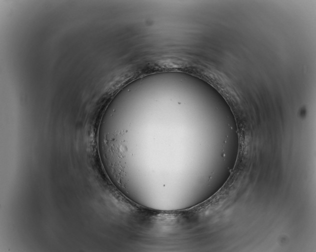 X0000100200418200806061327