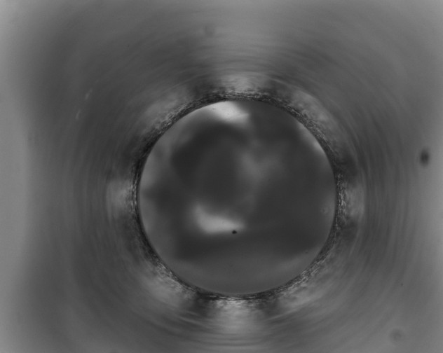 X0000100200419200806061327