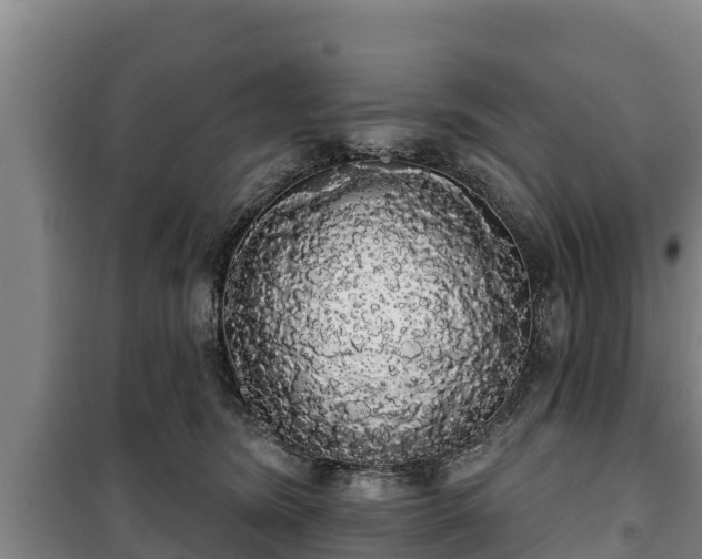 X0000100200420200806061327