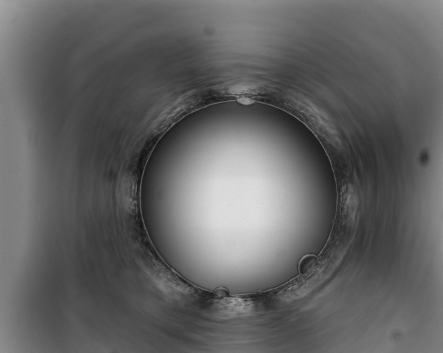 X0000100200421200806061327