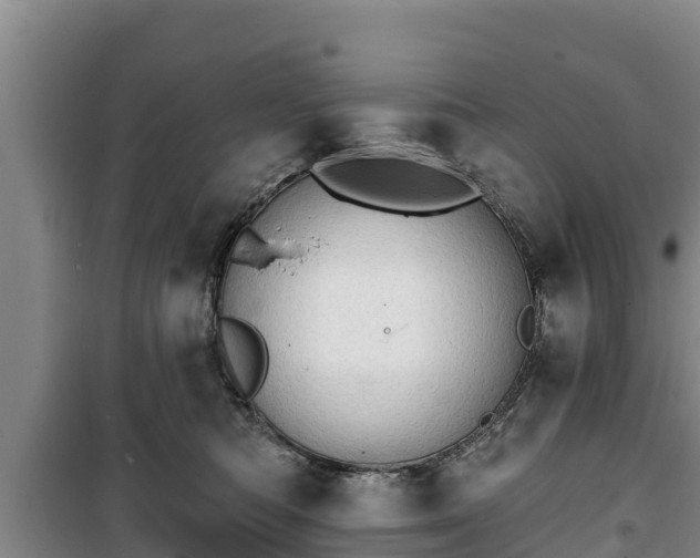 X0000100200422200806061327