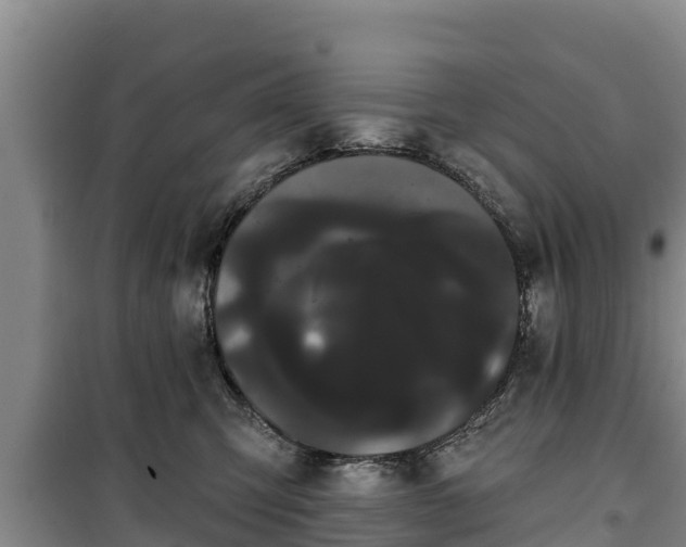 X0000100200423200806061327