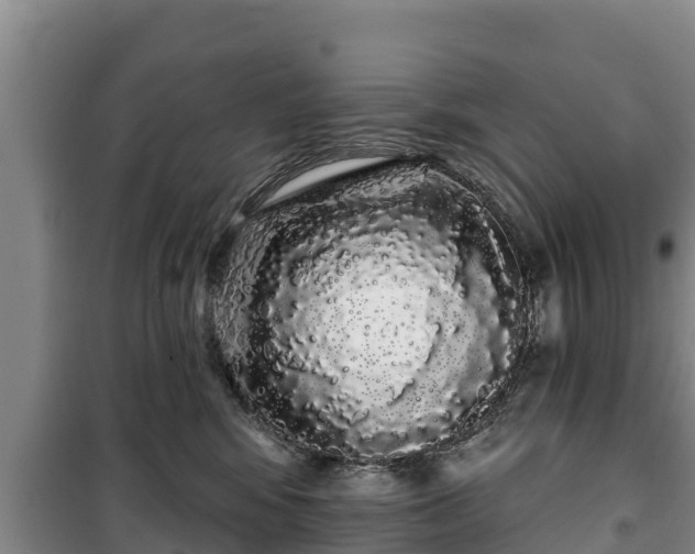 X0000100200424200806061327