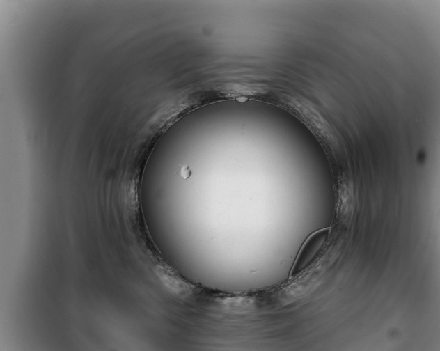 X0000100200426200806061327