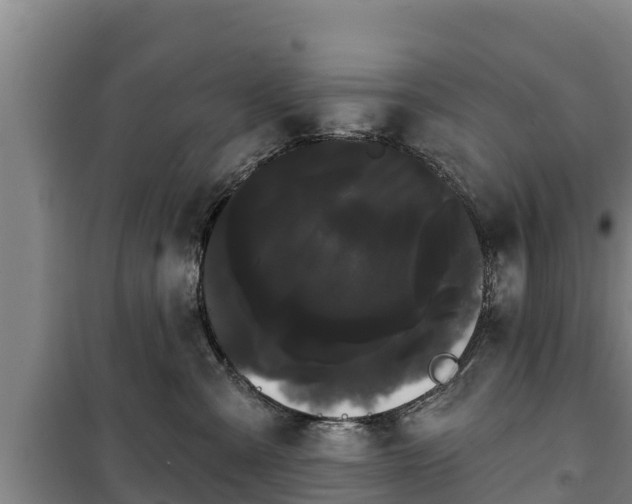 X0000100200427200806061327