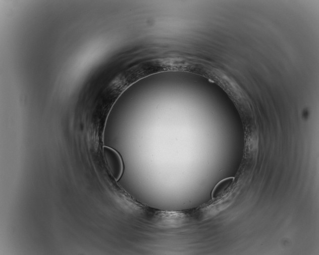 X0000100200429200806061326