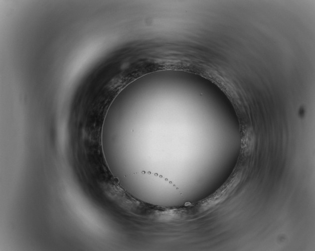 X0000100200430200806061326