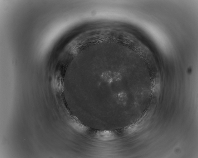 X0000100200431200806061326