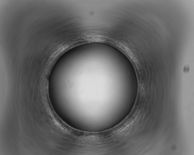 X0000100200433200806061326