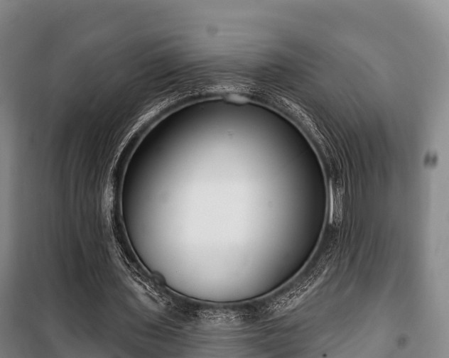 X0000100200435200806061326