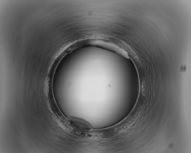 X0000100200436200806061326