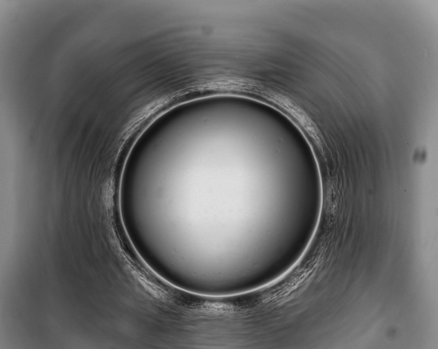 X0000100200437200806061326