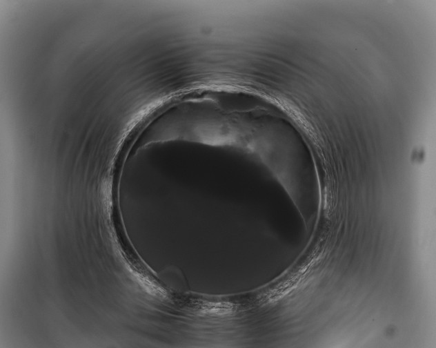 X0000100200438200806061326