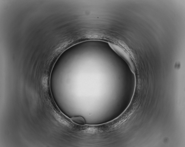 X0000100200441200806061326