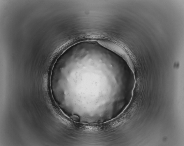 X0000100200442200806061326