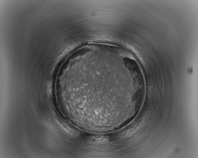 X0000100200443200806061326