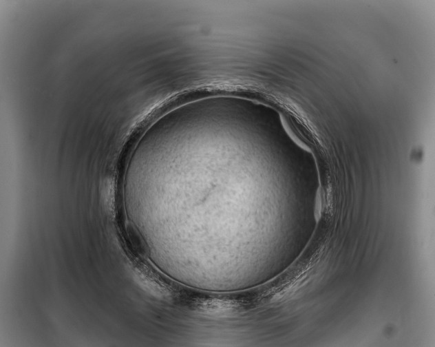 X0000100200444200806061326