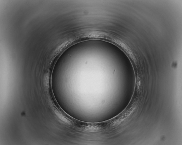 X0000100200445200806061326